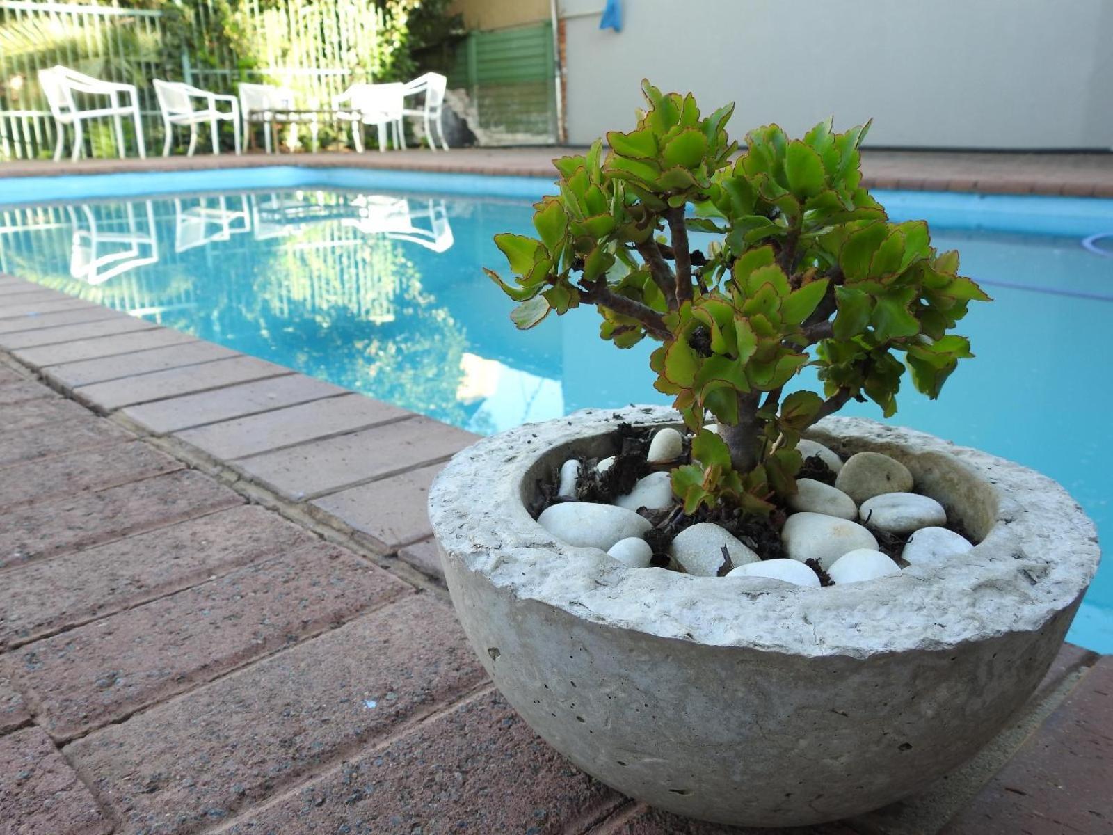 The Lantern Guesthouse Bloemfontein Exterior photo